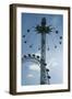 Starflyer-Charles Bowman-Framed Photographic Print