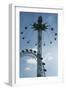 Starflyer-Charles Bowman-Framed Photographic Print