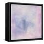 Stargazer II-Chris Paschke-Framed Stretched Canvas