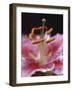 Stargazer Lily Abstract-Anna Miller-Framed Photographic Print