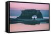 Staring at the Sea, Natural Bridges, Santa Cruz California-null-Framed Stretched Canvas