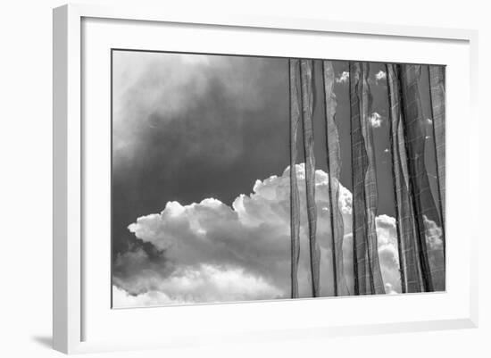 Stark Nature-Andrew Geiger-Framed Giclee Print