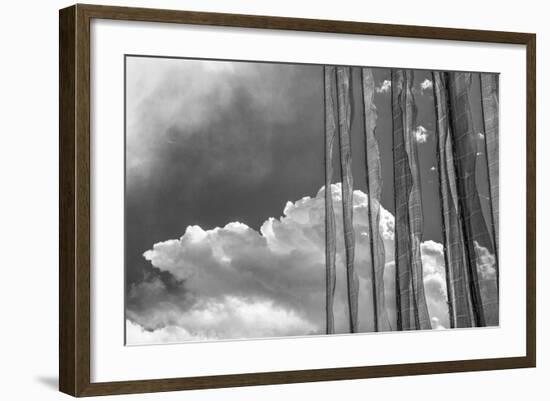 Stark Nature-Andrew Geiger-Framed Giclee Print