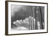 Stark Nature-Andrew Geiger-Framed Giclee Print