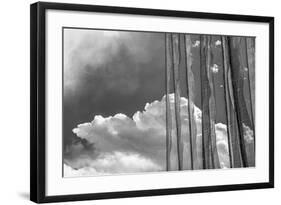 Stark Nature-Andrew Geiger-Framed Giclee Print