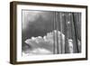 Stark Nature-Andrew Geiger-Framed Giclee Print