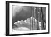 Stark Nature-Andrew Geiger-Framed Giclee Print