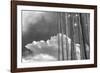 Stark Nature-Andrew Geiger-Framed Giclee Print