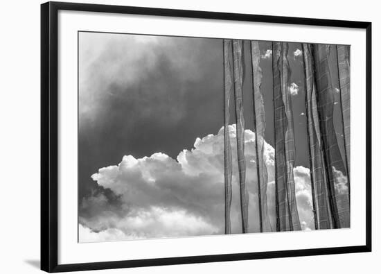 Stark Nature-Andrew Geiger-Framed Giclee Print