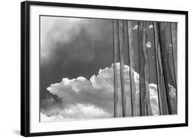 Stark Nature-Andrew Geiger-Framed Giclee Print
