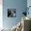 Starlet Marilyn Monroe-Ed Clark-Framed Stretched Canvas displayed on a wall