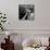 Starlet Marilyn Monroe-Ed Clark-Mounted Photographic Print displayed on a wall