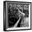 Starlet Marilyn Monroe-Ed Clark-Framed Premium Photographic Print