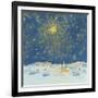 Starlight, 2008-David Cooke-Framed Giclee Print