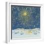 Starlight, 2008-David Cooke-Framed Giclee Print