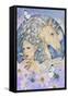 Starlight with Flowers-Linda Ravenscroft-Framed Stretched Canvas