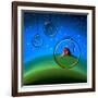 Starlight-Cindy Thornton-Framed Art Print