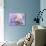 Starlight-Judy Mastrangelo-Giclee Print displayed on a wall