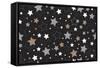 Starlight-Joanne Paynter Design-Framed Stretched Canvas