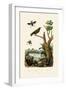 Starling, 1833-39-null-Framed Giclee Print