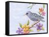 Starling Bird with Flowers-Michelle Faber-Framed Stretched Canvas