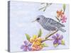 Starling Bird with Flowers-Michelle Faber-Stretched Canvas