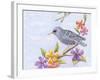 Starling Bird with Flowers-Michelle Faber-Framed Giclee Print