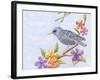 Starling Bird with Flowers-Michelle Faber-Framed Giclee Print