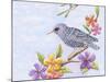 Starling Bird with Flowers-Michelle Faber-Mounted Giclee Print