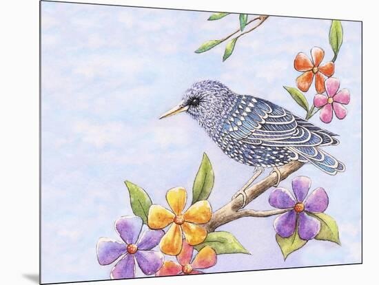 Starling Bird with Flowers-Michelle Faber-Mounted Giclee Print