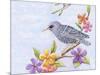 Starling Bird with Flowers-Michelle Faber-Mounted Giclee Print