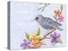 Starling Bird with Flowers-Michelle Faber-Stretched Canvas