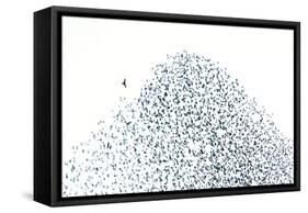 Starling Flock and Peregrine Falcon-null-Framed Stretched Canvas