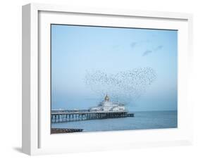 Starling murmuration, The Pier, Eastbourne, East Sussex, England, United Kingdom, Europe-Jean Brooks-Framed Photographic Print