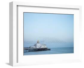 Starling murmuration, The Pier, Eastbourne, East Sussex, England, United Kingdom, Europe-Jean Brooks-Framed Photographic Print