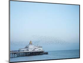 Starling murmuration, The Pier, Eastbourne, East Sussex, England, United Kingdom, Europe-Jean Brooks-Mounted Photographic Print