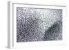 Starlings a Concentrated Section of a Large Flock-null-Framed Photographic Print