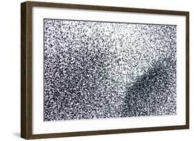Starlings a Concentrated Section of a Large Flock-null-Framed Photographic Print