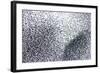 Starlings a Concentrated Section of a Large Flock-null-Framed Photographic Print