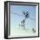 Starlings a Murmuration in the Shape of Number-null-Framed Photographic Print