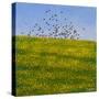 Starlings & Buttercups, Iona, 2015-Charles Simpson-Stretched Canvas