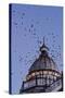 Starlings Coming in to Roost in a Victorian Camera-null-Stretched Canvas