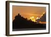 Starlings Going to Roost-null-Framed Photographic Print