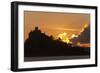 Starlings Going to Roost-null-Framed Photographic Print