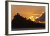 Starlings Going to Roost-null-Framed Photographic Print