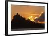 Starlings Going to Roost-null-Framed Photographic Print