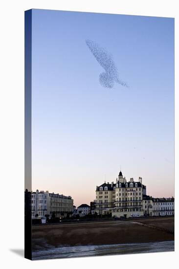 Starlings Shape Above Urban Building-null-Stretched Canvas