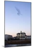 Starlings Shape Above Urban Building-null-Mounted Photographic Print