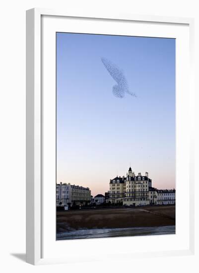 Starlings Shape Above Urban Building-null-Framed Photographic Print