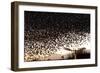 Starlings (Sturnus Vulgaris) Flocking Above Urban Streetlights at Dusk-Paul Hobson-Framed Photographic Print